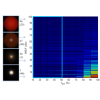 A biquadratic reflectance model for radiometric image analysis