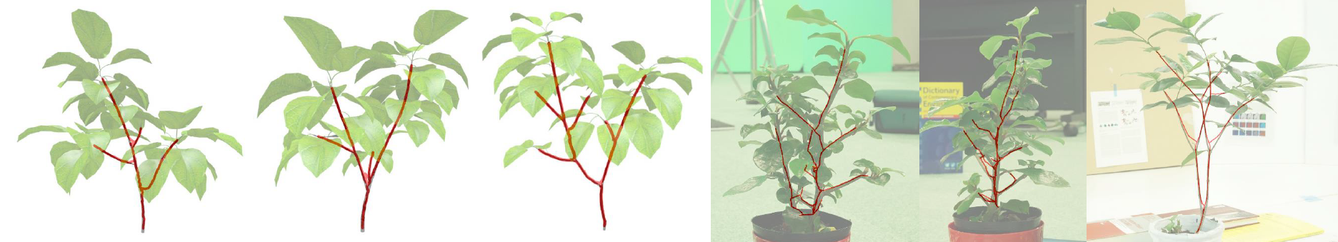 Probabilistic Plant Modeling via Multi-View Image-to-Image Translation